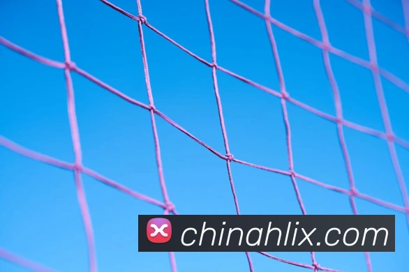世界杯下单网站服务体系